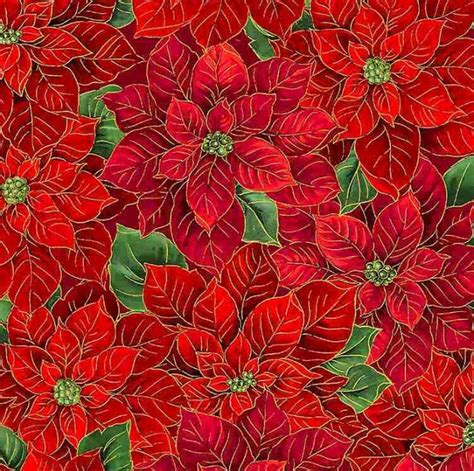 timeless treasures joyful season packed poinsettias metallic red fabric|Packed Metallic poinsettias Bouquet CM1275 Timeless Treasures .